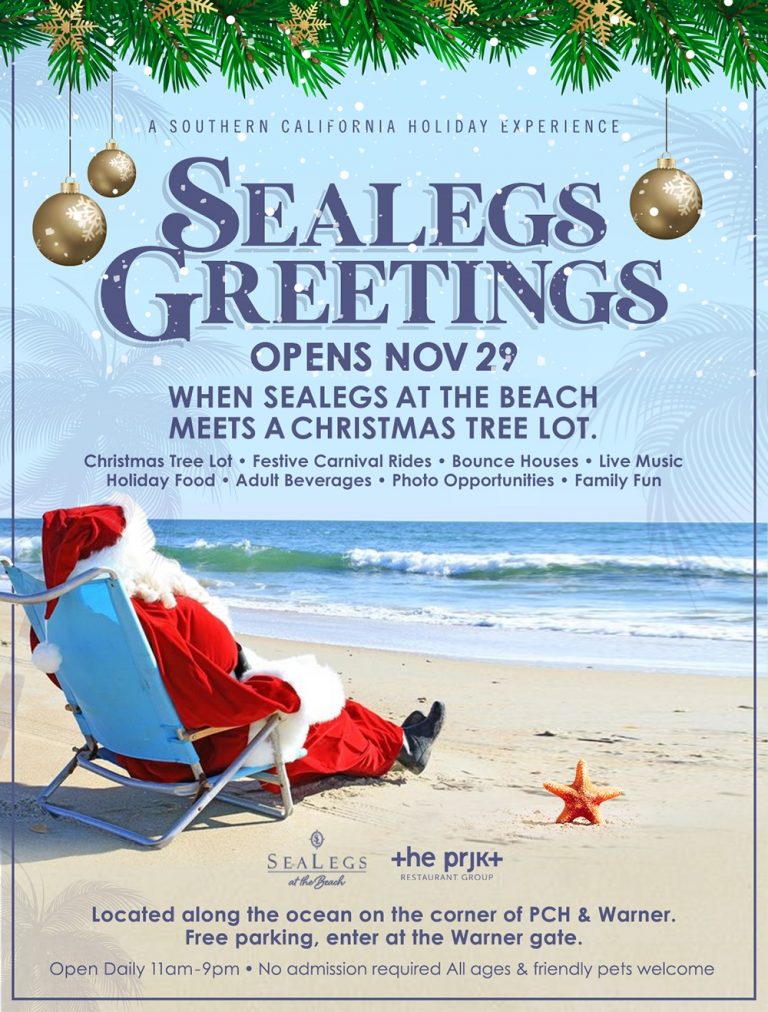 Sealegs at the Beach: Oceanfront Holiday Experience November 29 – January 5, 2020